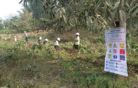 P0031 – MDY to Muse OFC Backbone Project